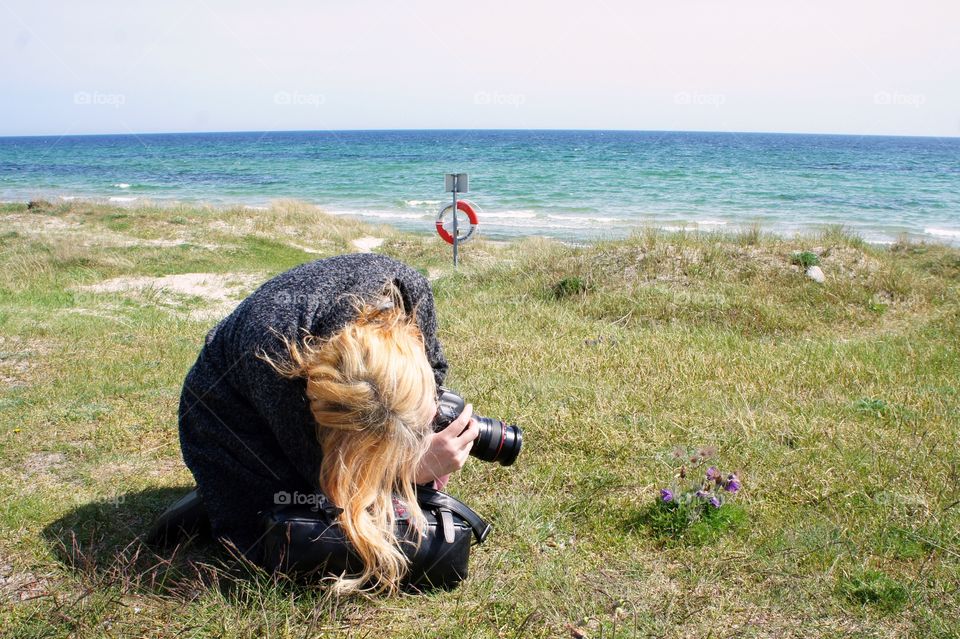 The right angle for pasqueflower