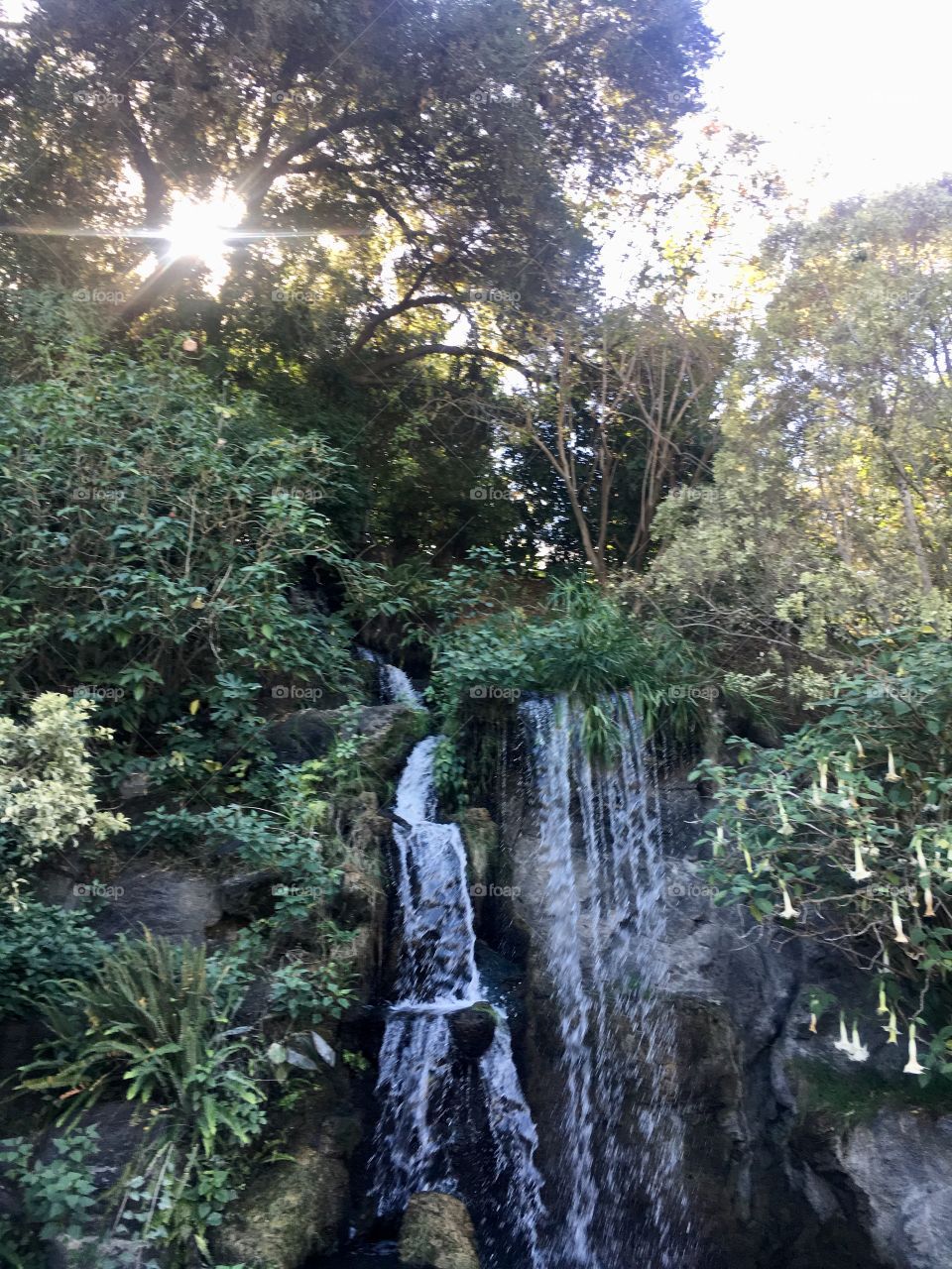 Los Angeles Arboretum and Botanic Garden
