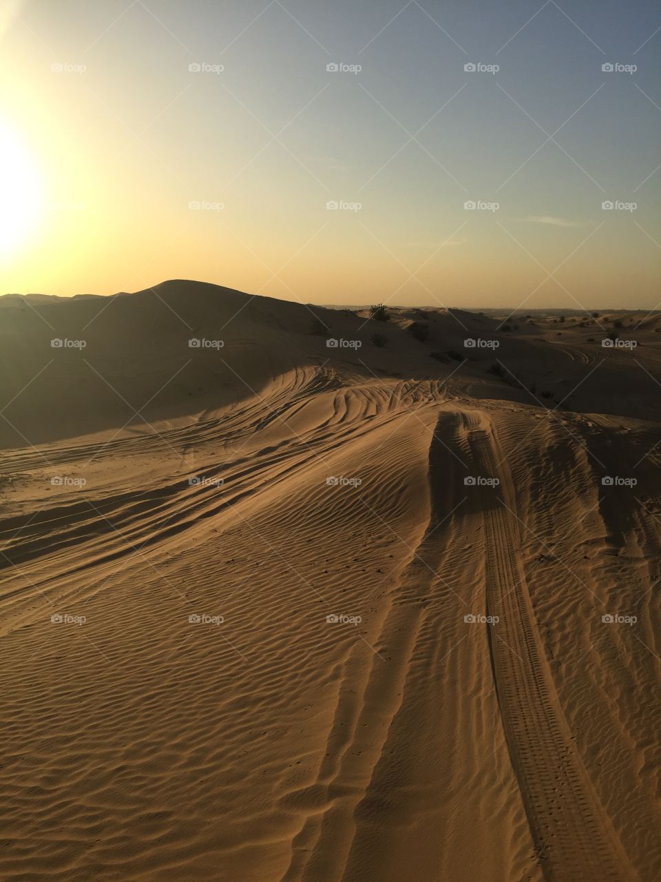 Dubai desert