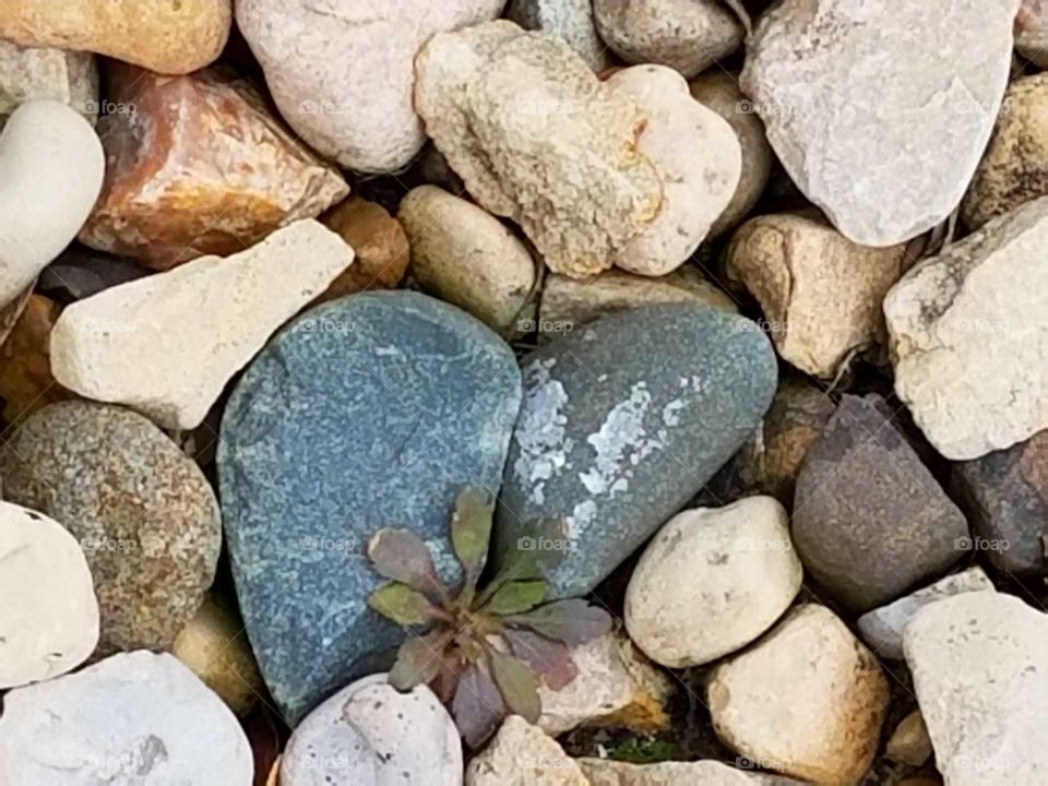 What can we Really see in a Rock