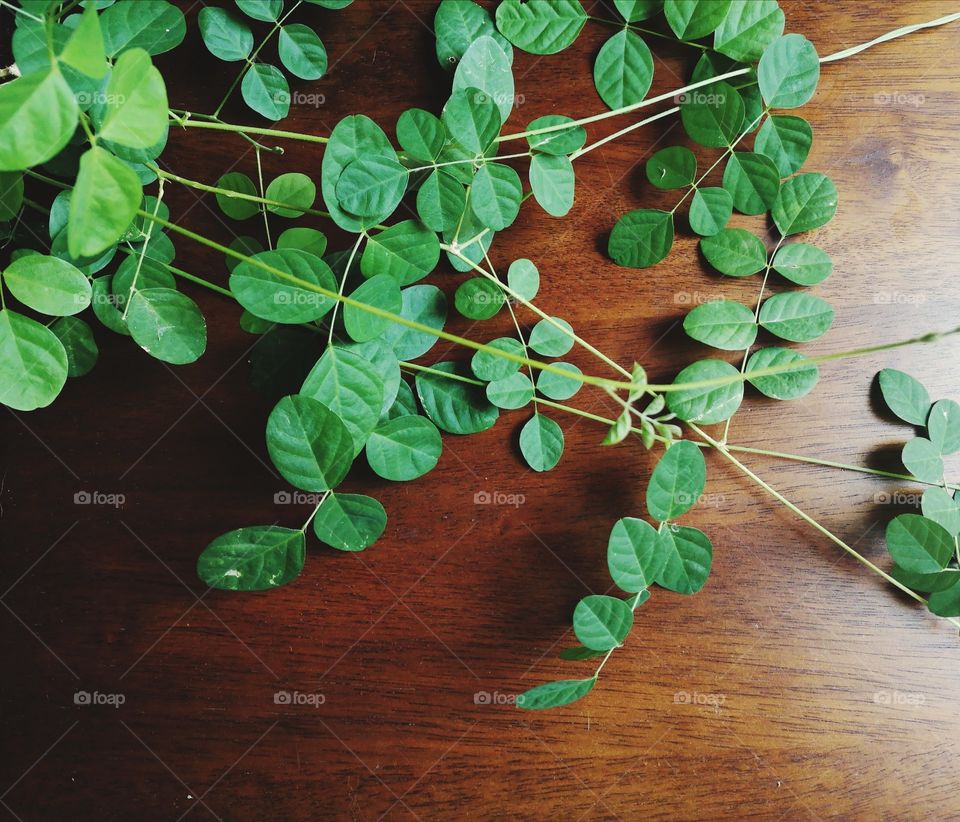 The varieties background.