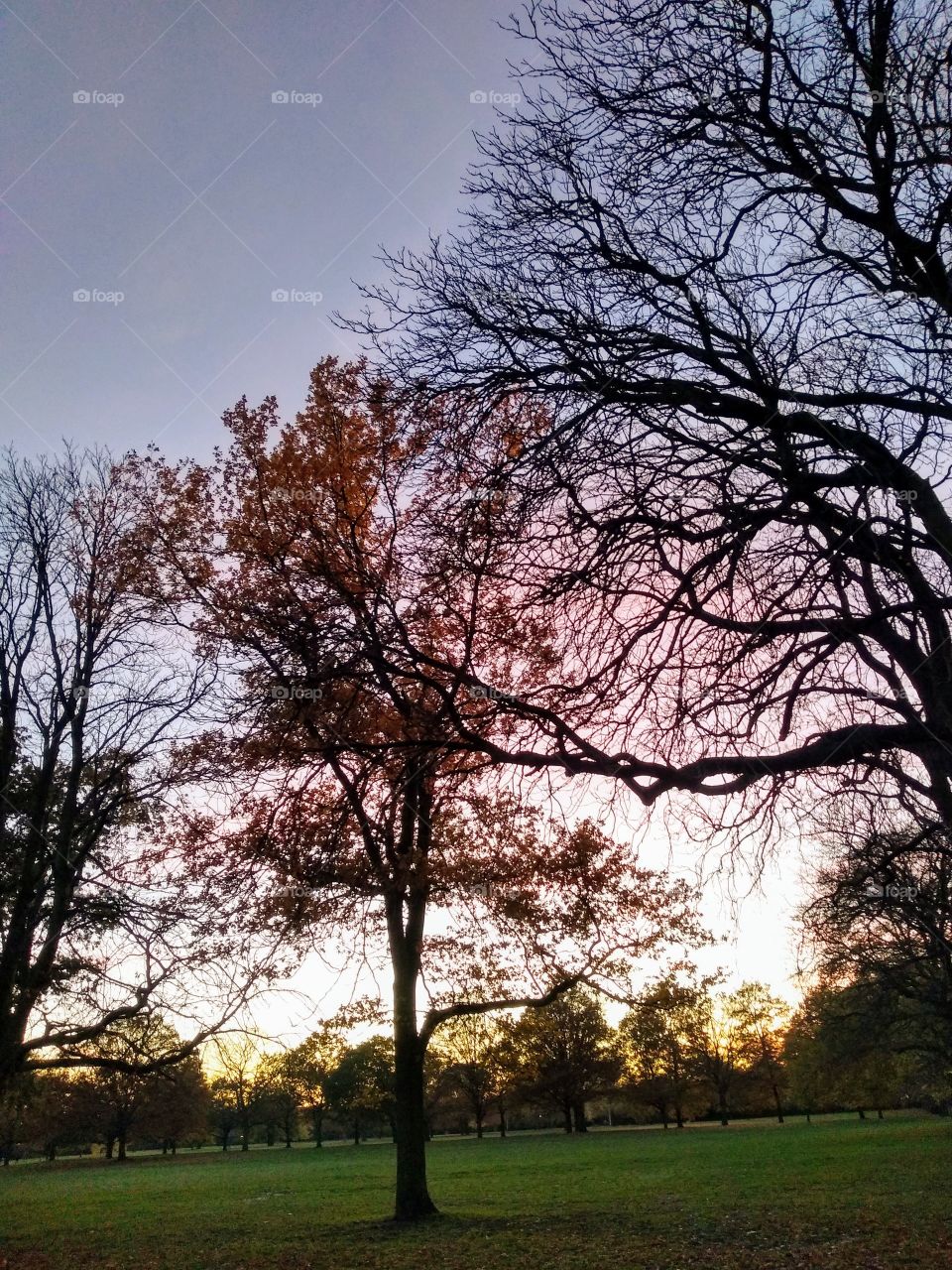 Autumn Sunset in Walpole Park, London