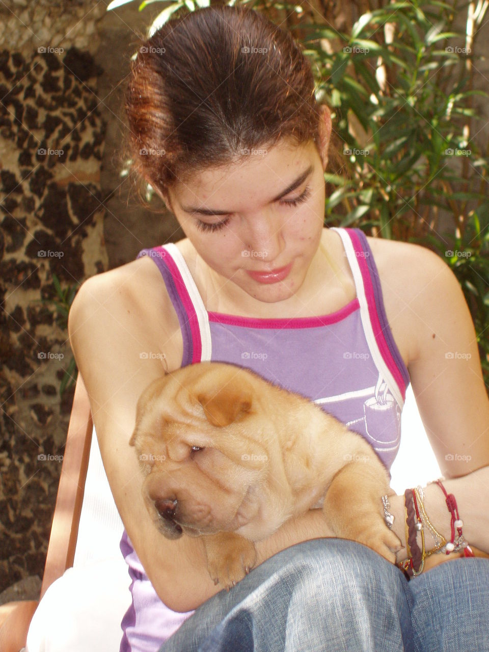 Sharpei puppy