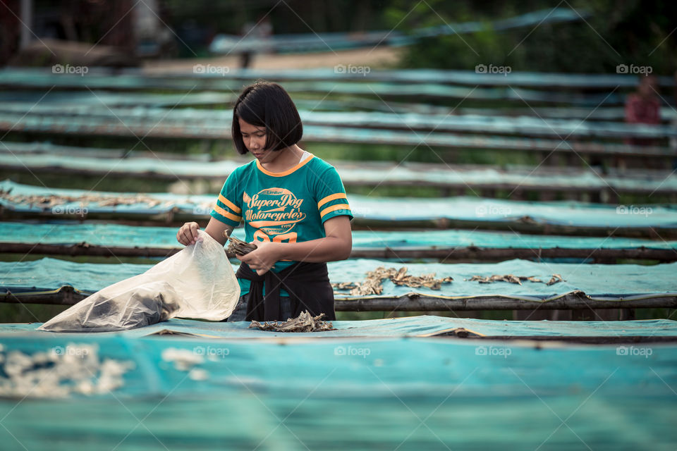 Girl collect dry fish