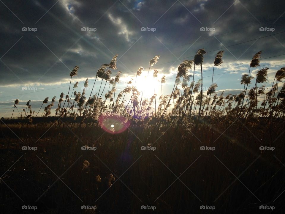 Sunset, Evening, Landscape, Dawn, Light