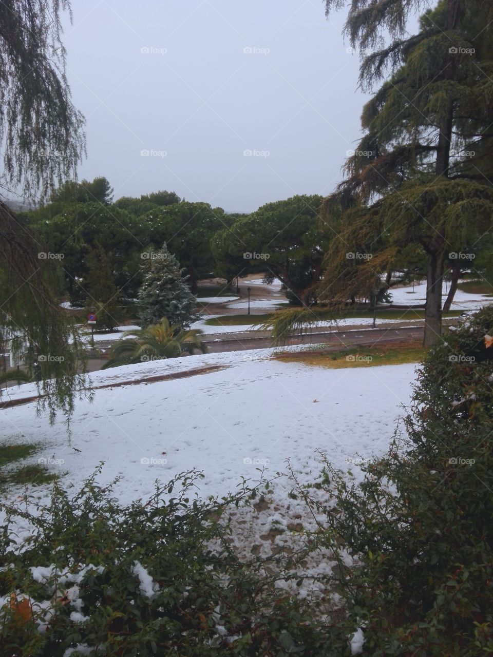 Centro de Madrid, Templo de Debod