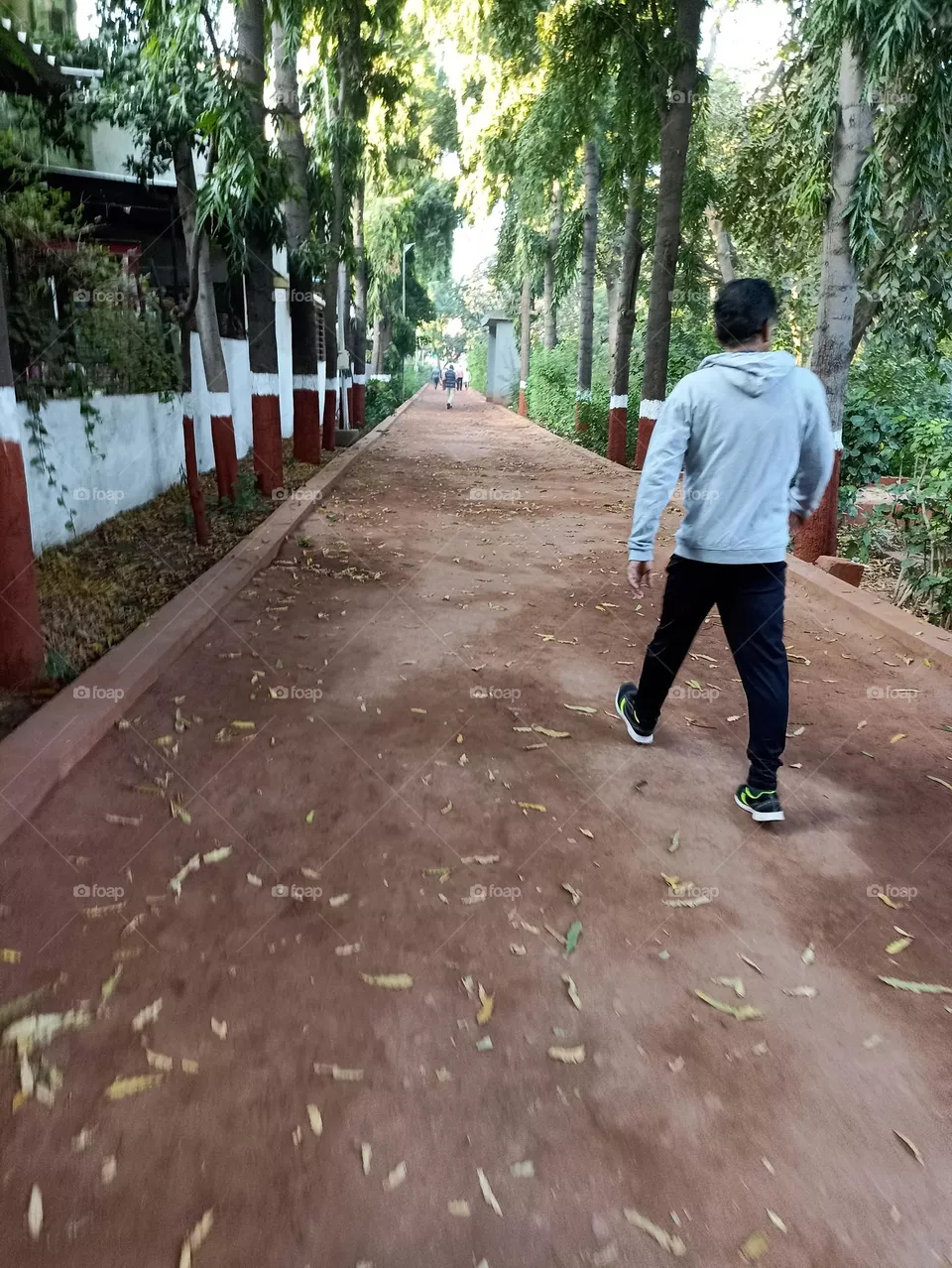 Morning Walk