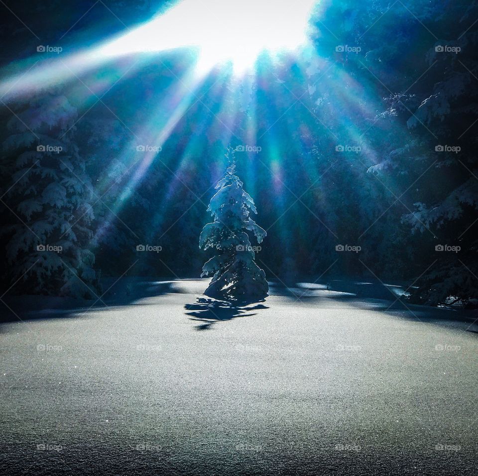 Surrounded by light. 