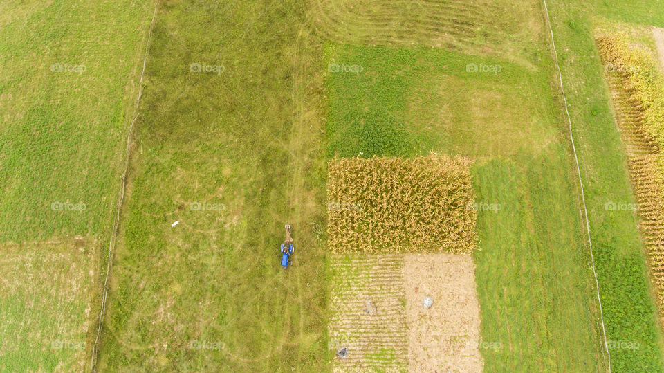 Tractor near the corn field