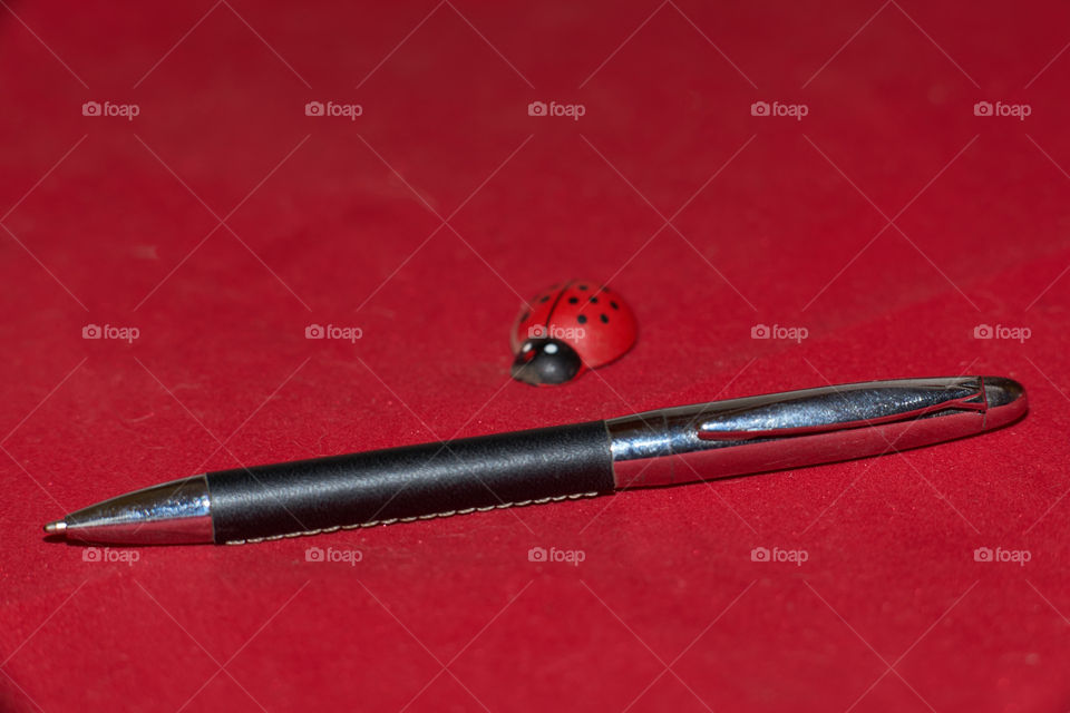 Ball pen and ladybug