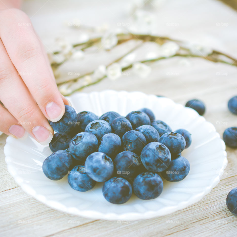 Fresh Blueberries on a White Plate