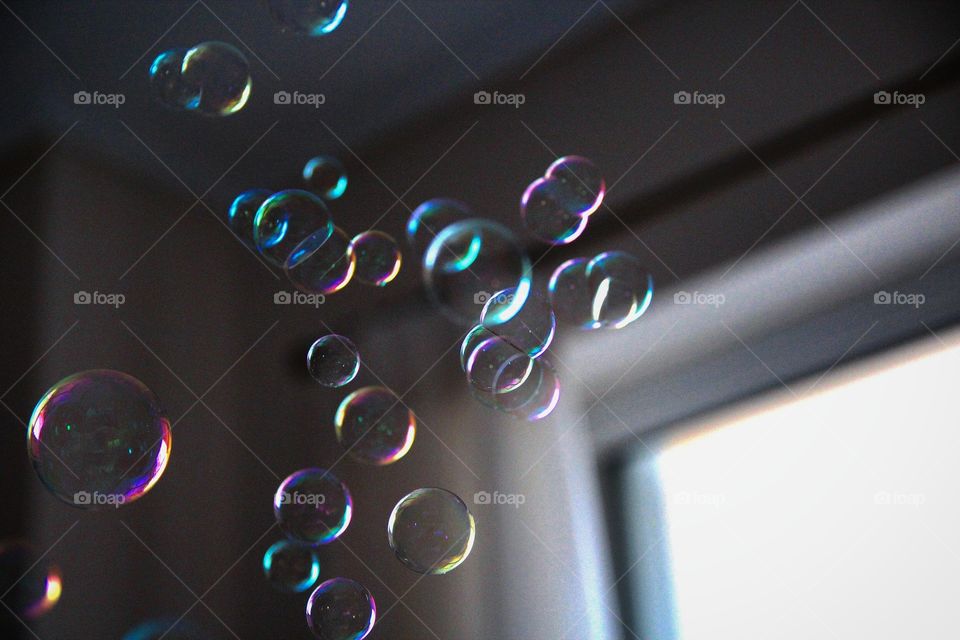 Close-up of bubbles