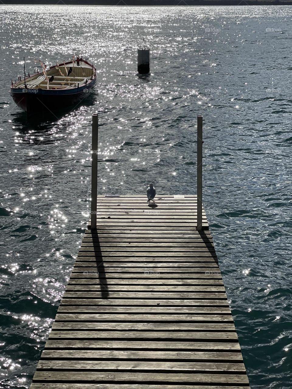 Lake pier, bird watching landscape from pier, boat on lake 