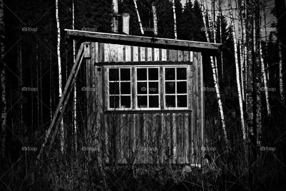 The old cabin