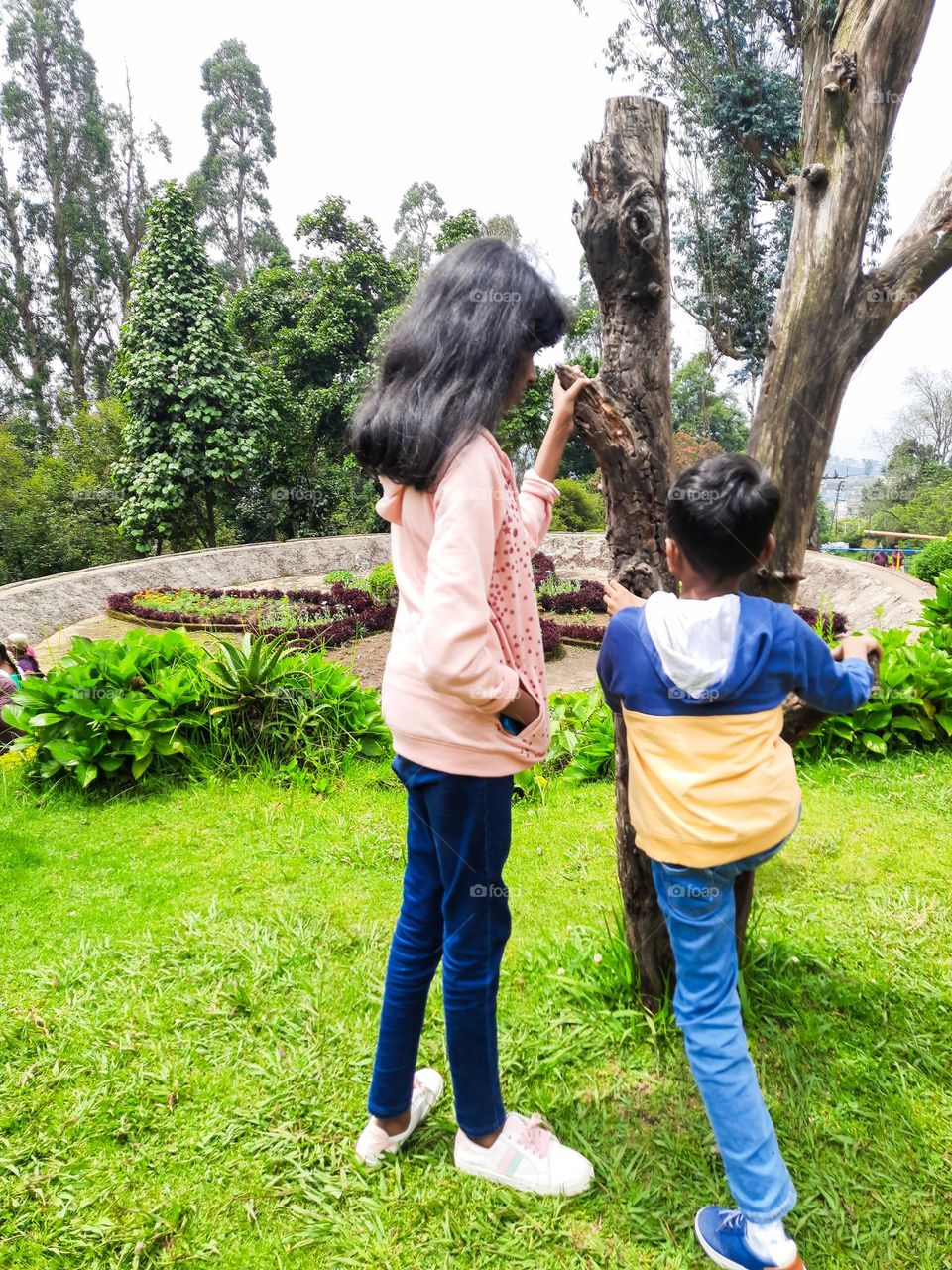 Children in the Park during summer time