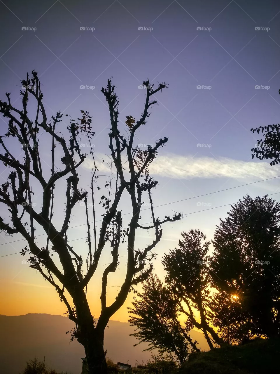 beautiful purple sky view