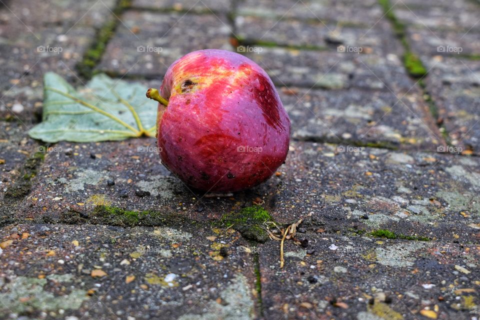 apple on floor