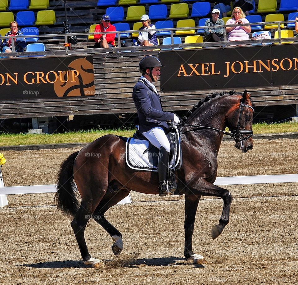 Dressage in Falsterbo 