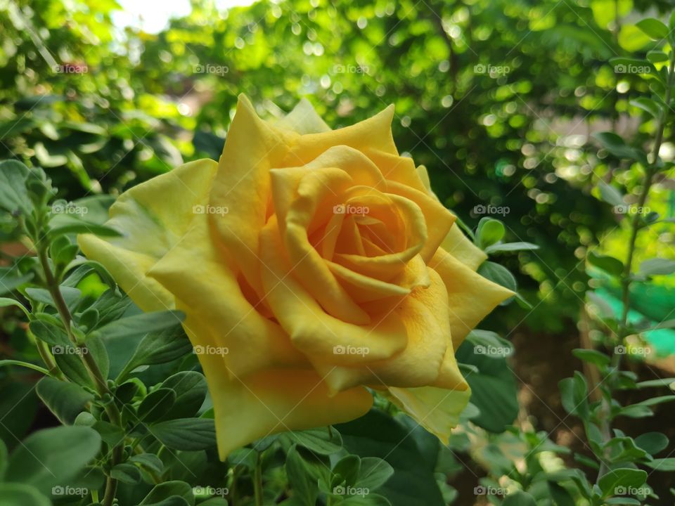 a image of beautiful view