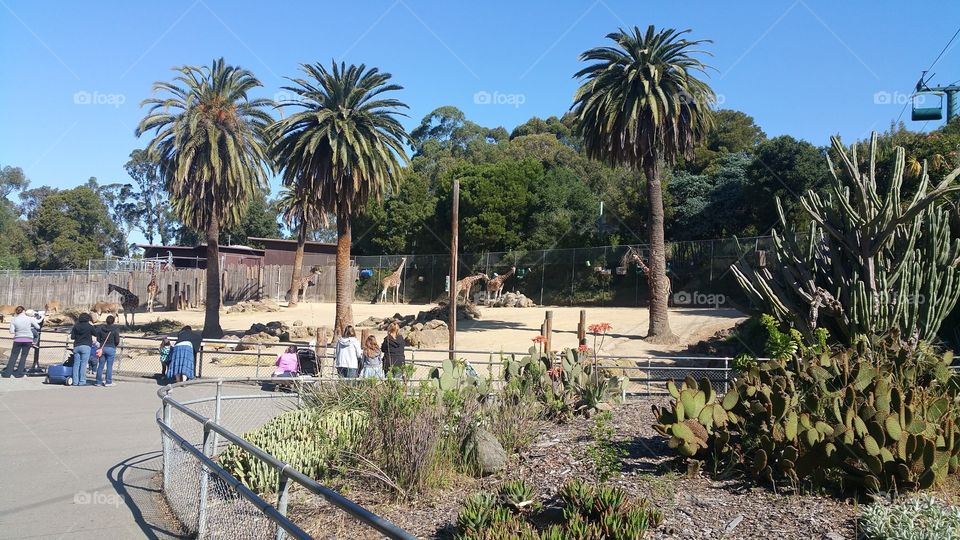 Oakland zoo 