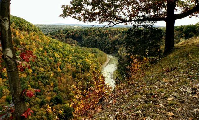 Letchworth gorge.