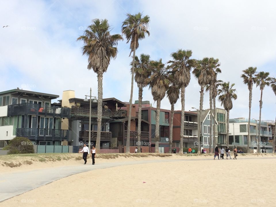 Venice Beach Housing