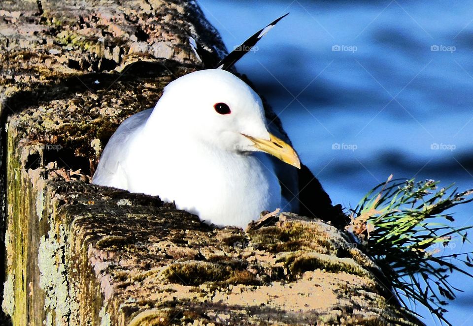 Waiting for her childrens