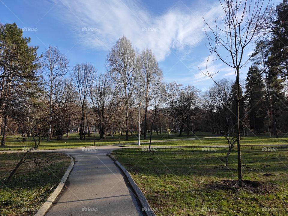 Belgrade Serbia Topcider park in autumn afternoon