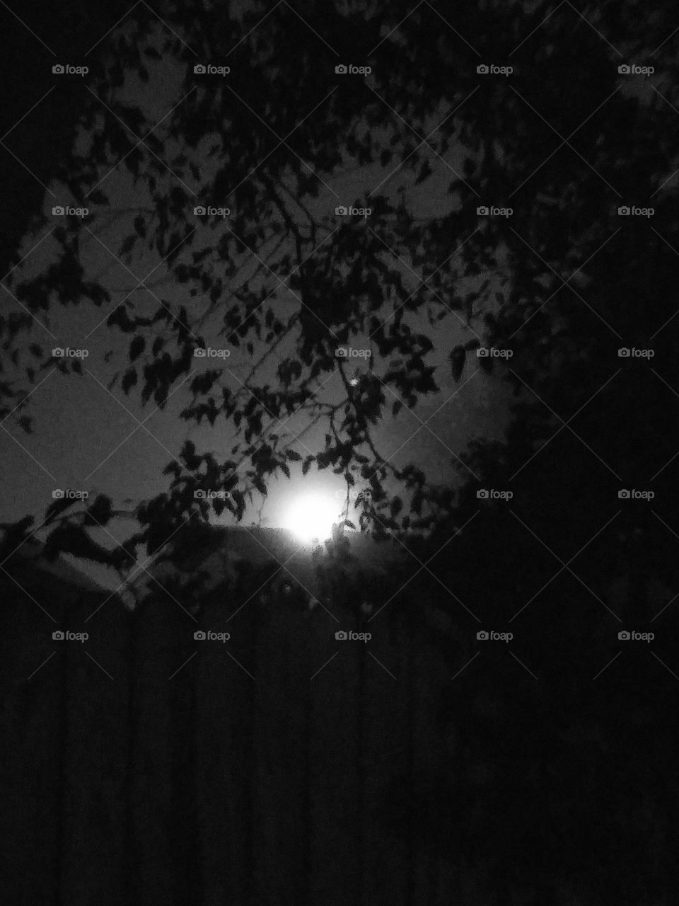 glow of a street light