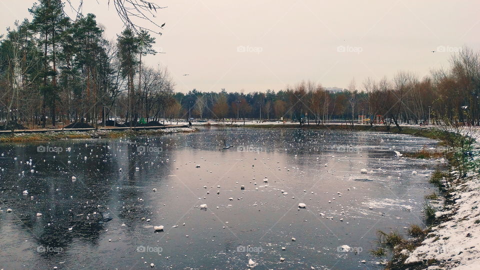 winter park landscape in the city of Kiev, Ukraine