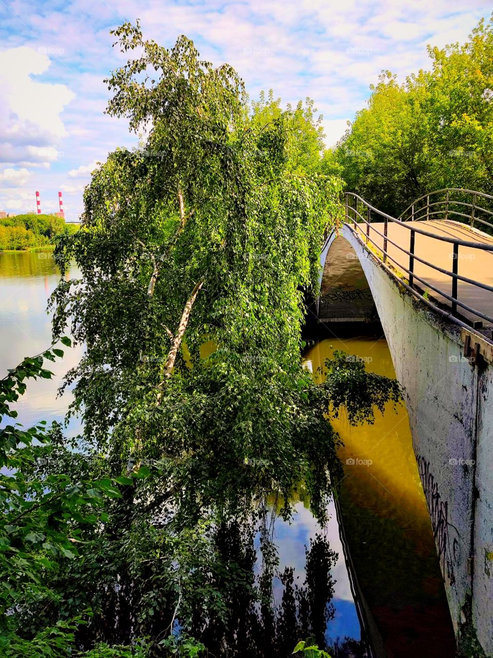River.  White bridge.  A birch that bent to the water.  Reflection in birch water