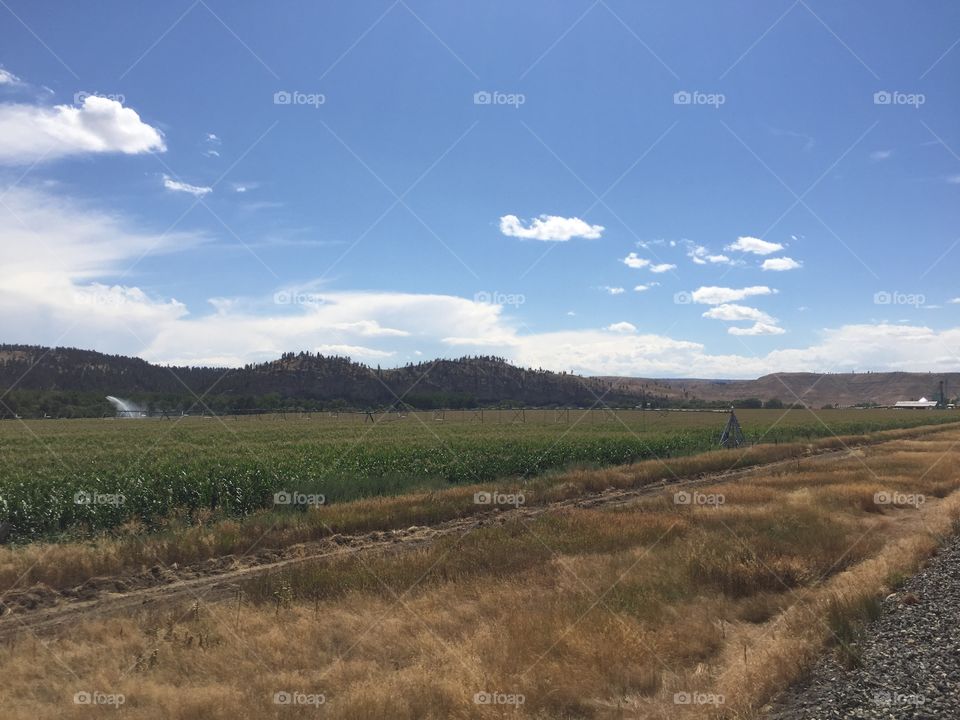 Landscape, No Person, Agriculture, Sky, Nature