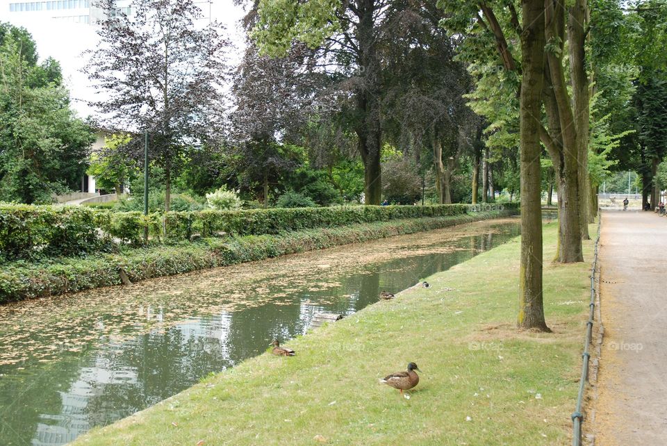 Peaceful moments in the park 