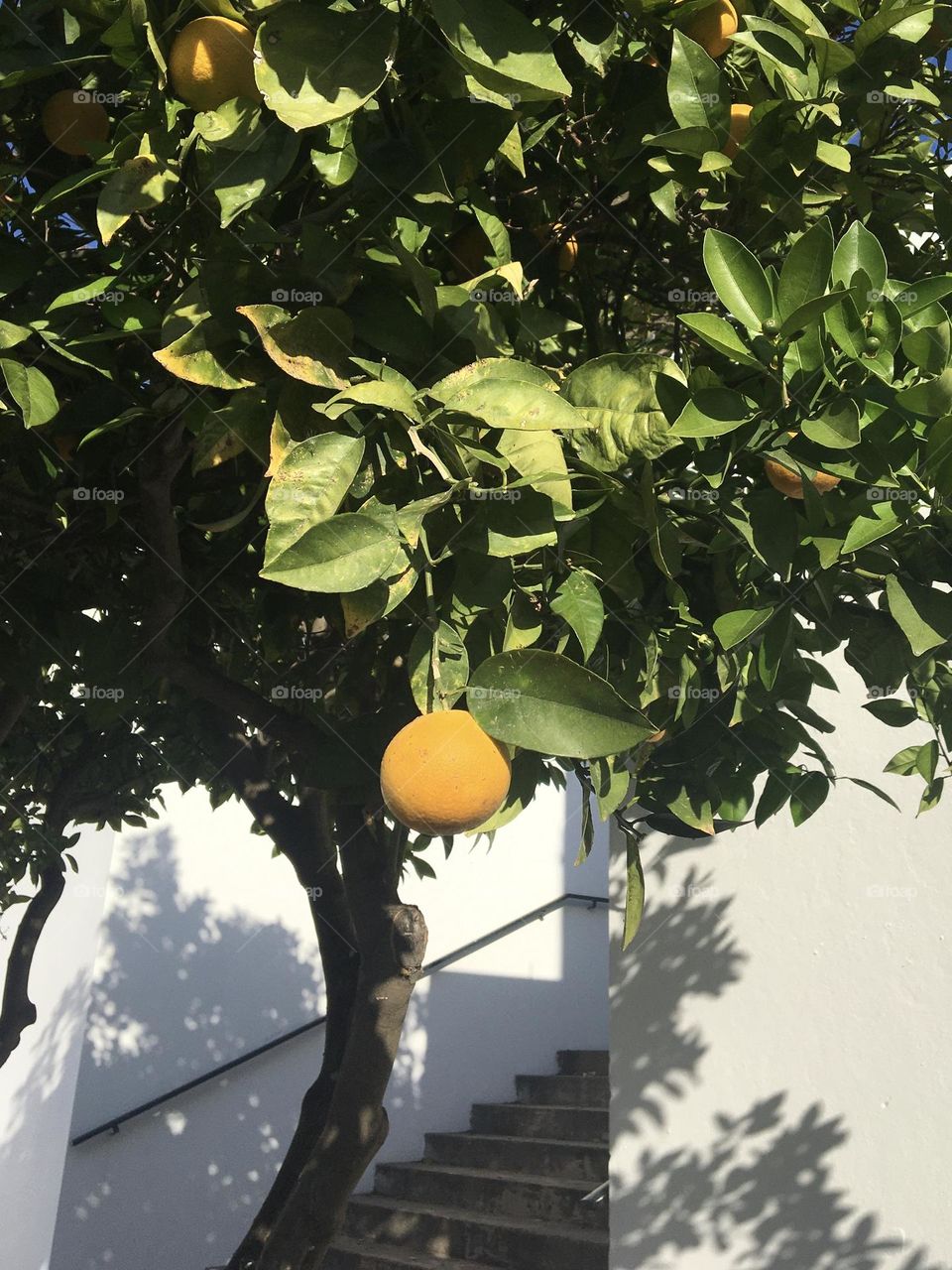 Simple orange from December at corner of a sunny street