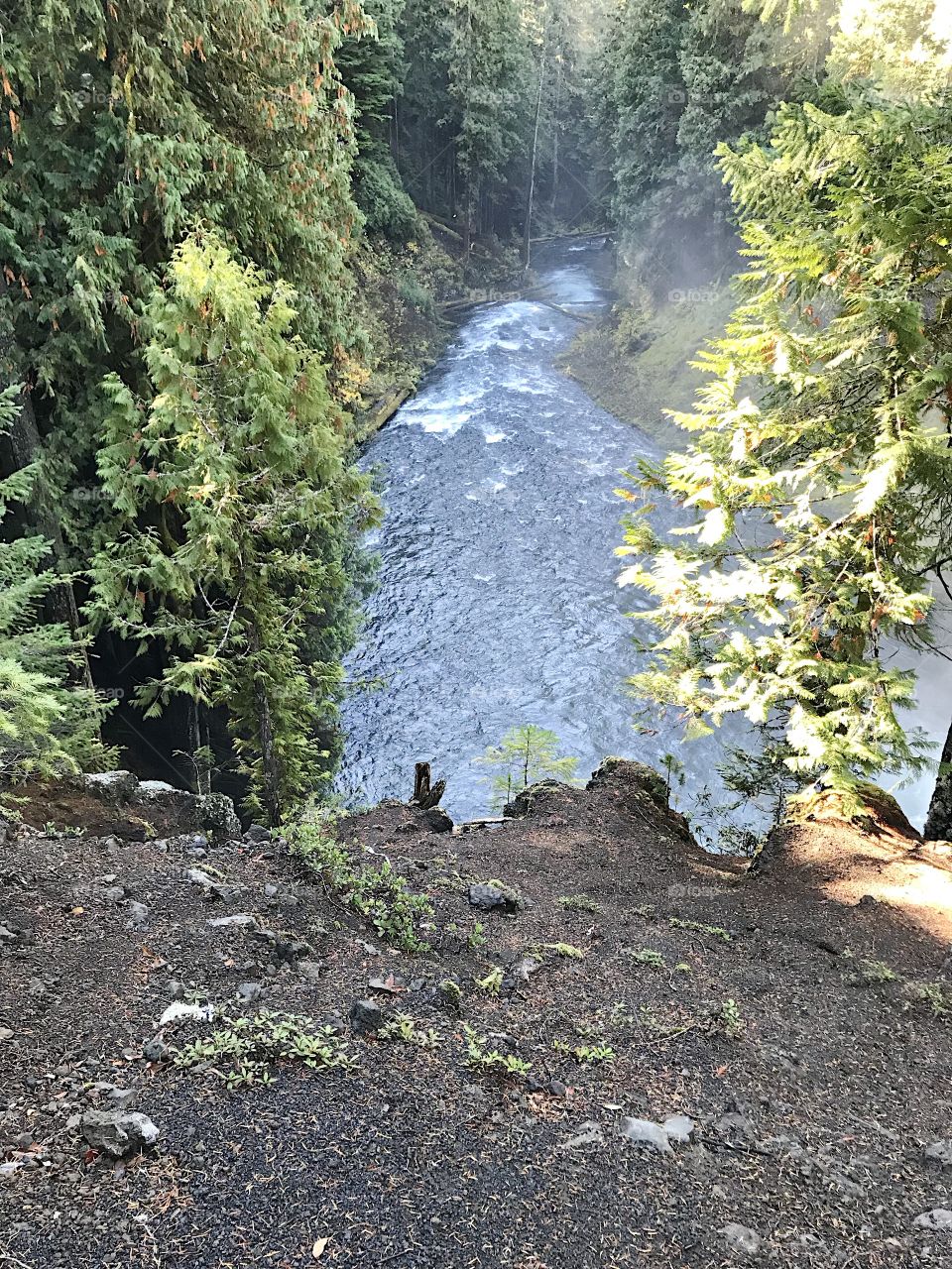 A view of the rushing waters of the McKenzie River in the mountains of Western Oregon close after its drop over Sahalie Falls on a sunny fall day.