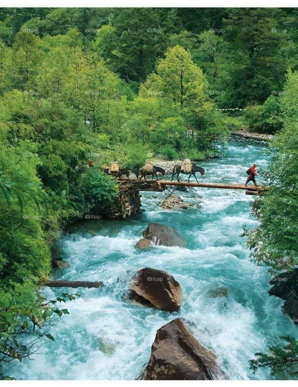 Crossing River with friends 