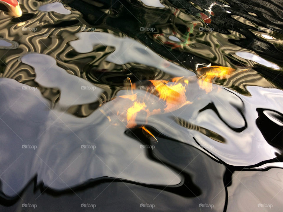 Incredible reflections 