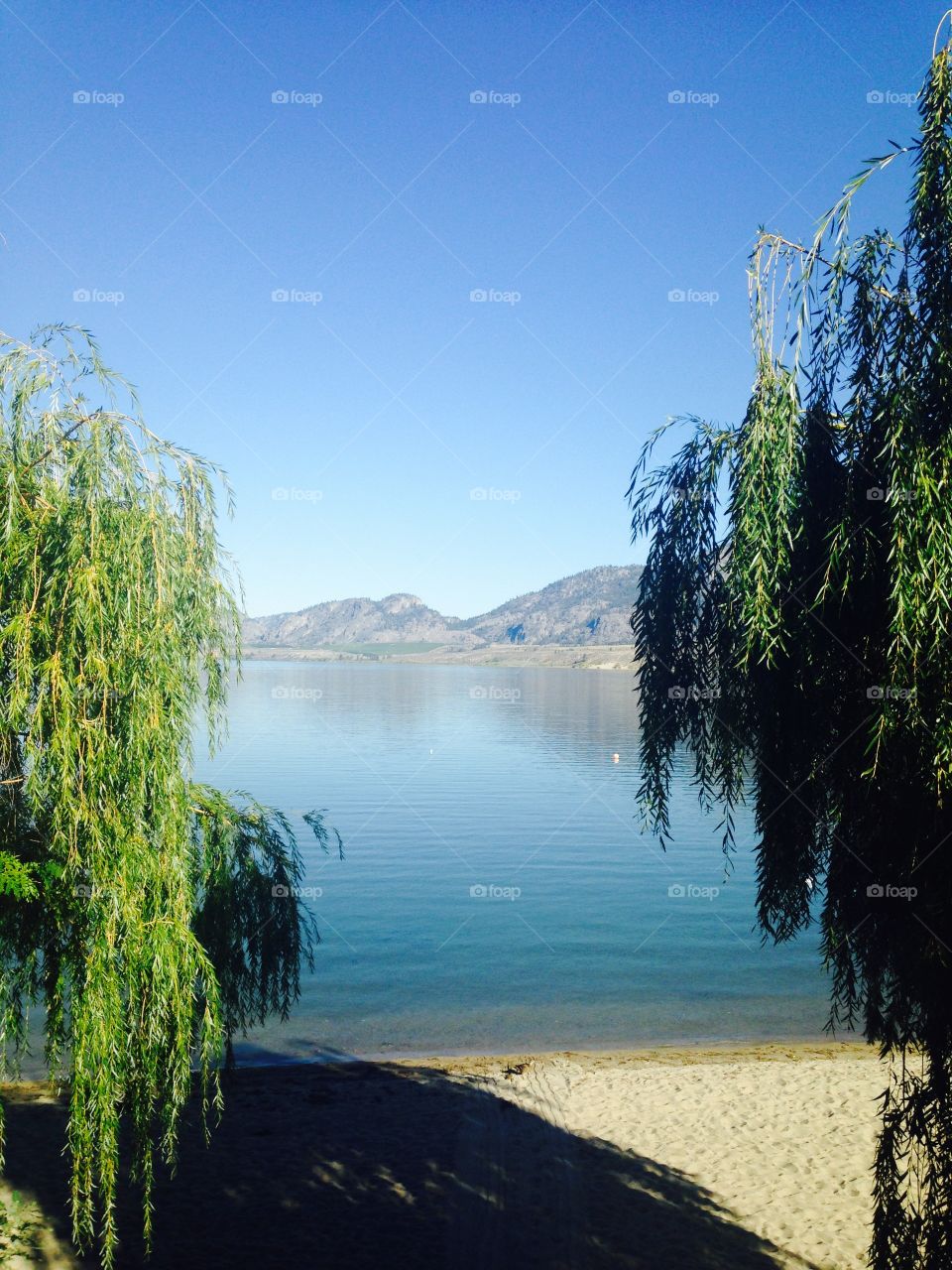 Lake Osoyoos views