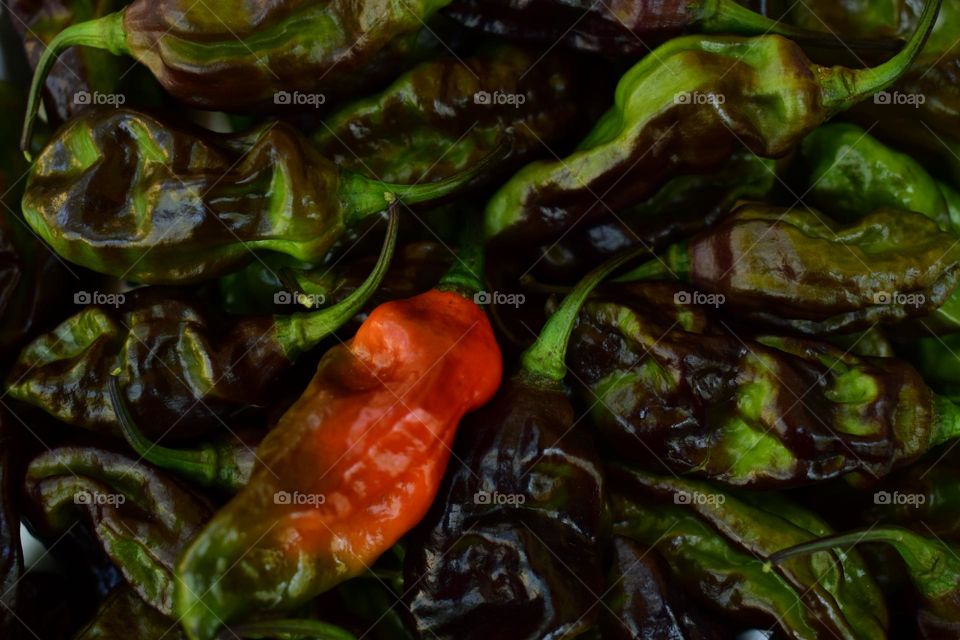 red chilli among other chillis