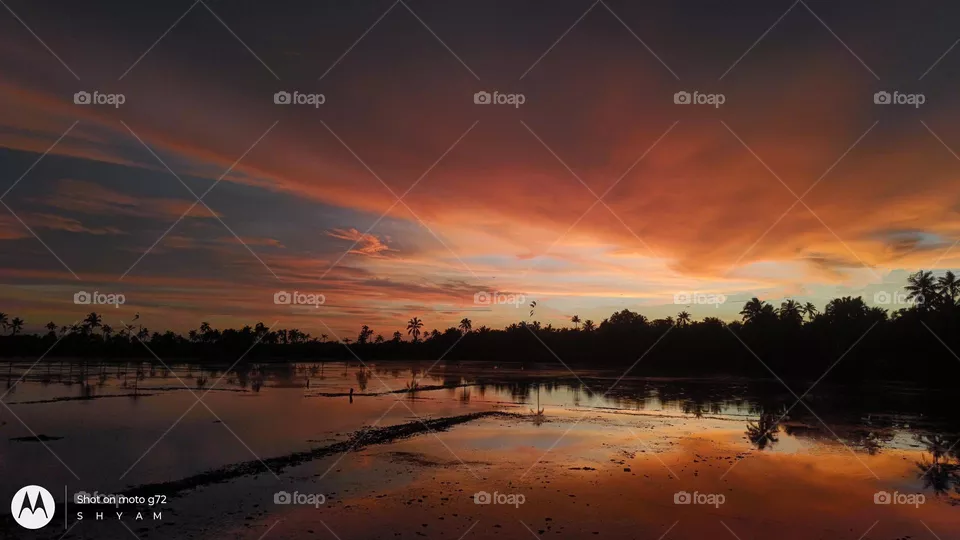 golden sunset