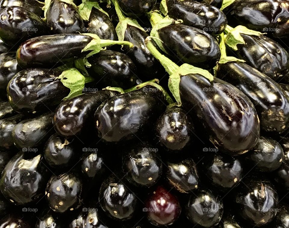 purple eggplants in a bookstore