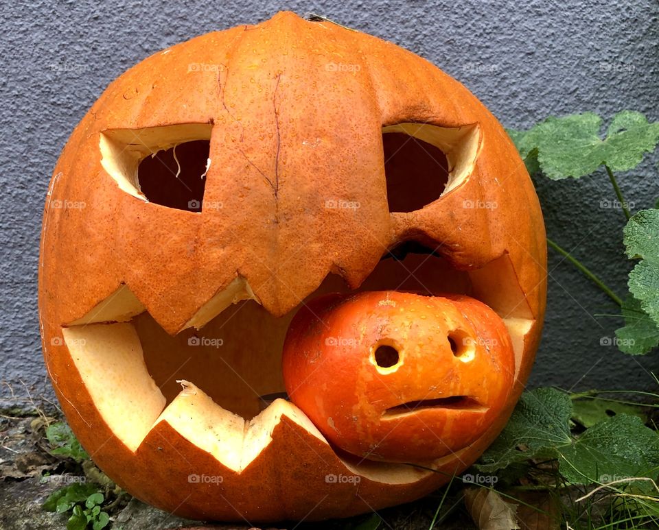 Pumpkin halloween taking a bite