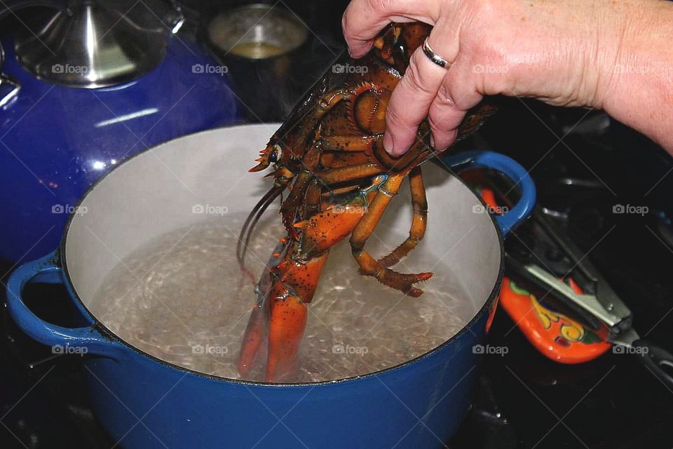 Cooking a Lobster for dinner