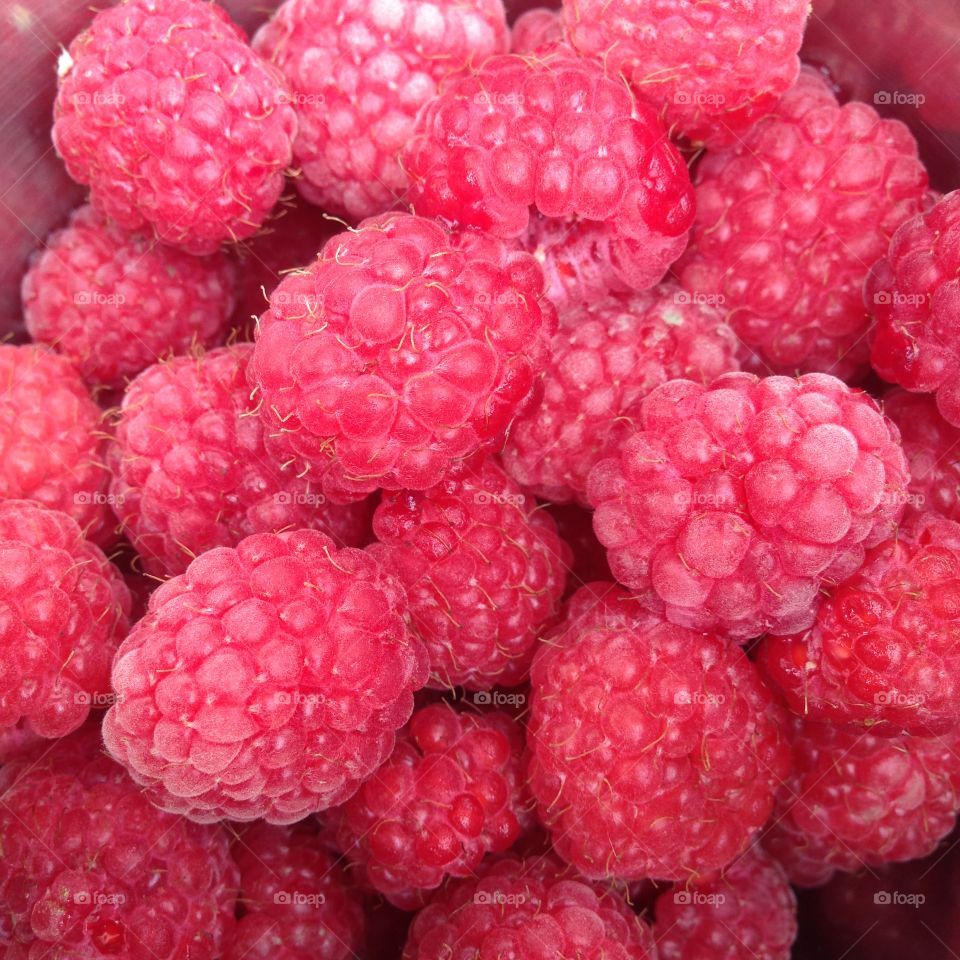 Fresh raspberries. Handpicked raspberries from our garden. 