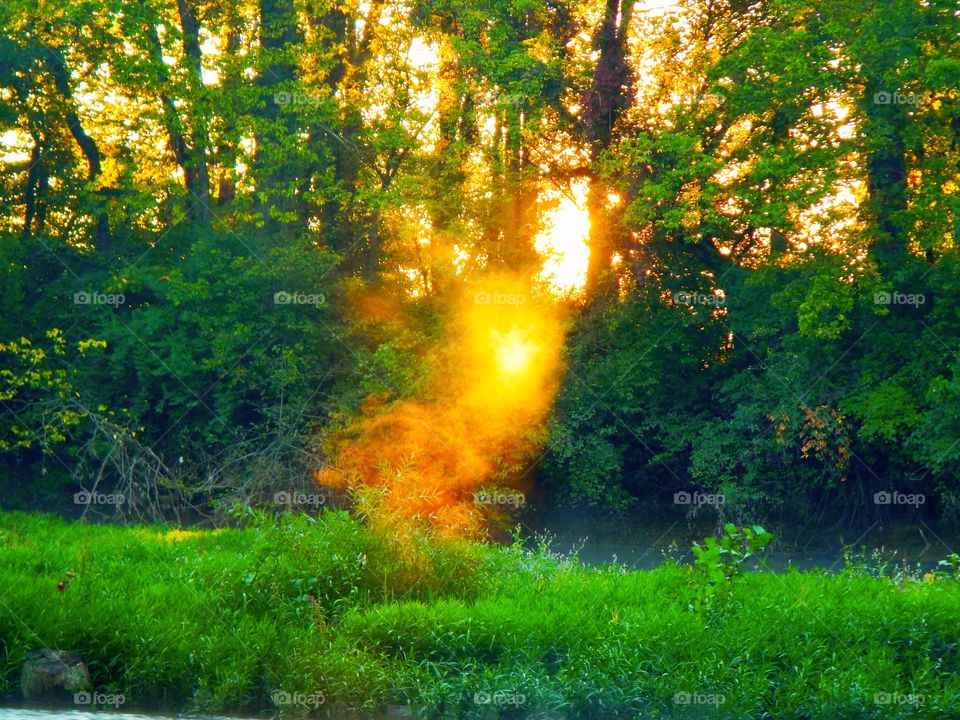 Sunrise and fog in Indiana 