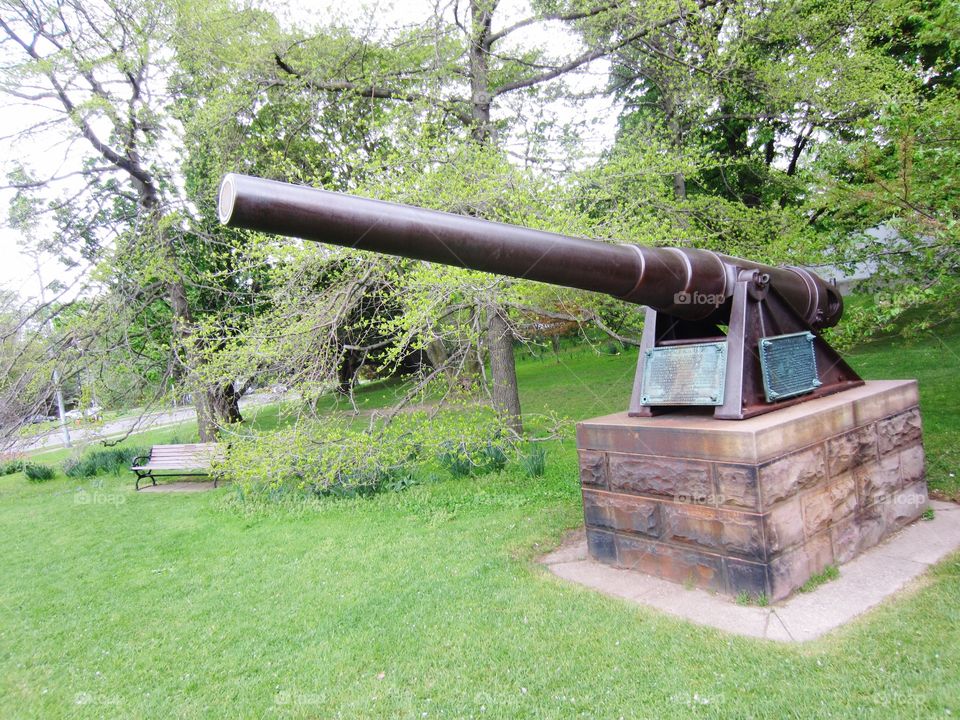 Cannon