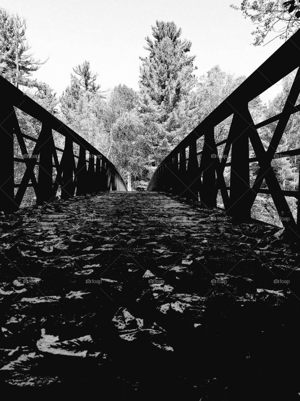 autumn walking bridge