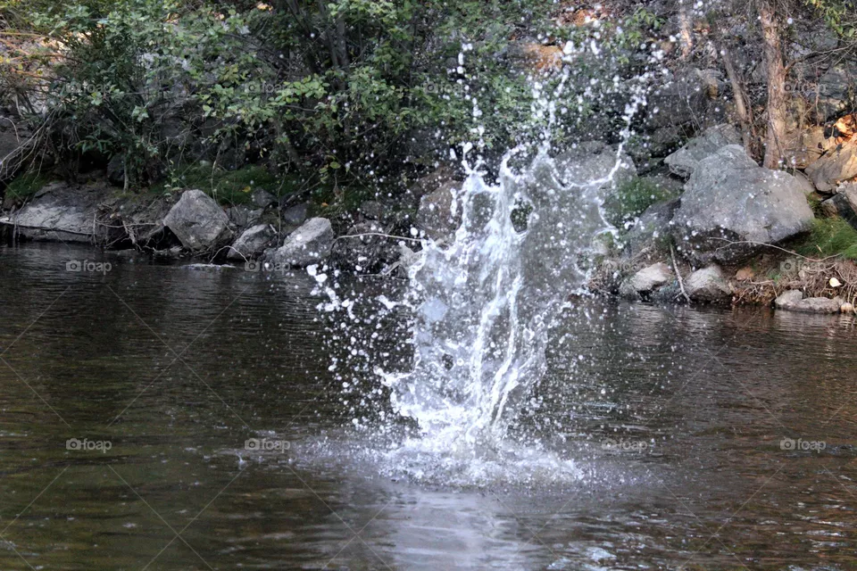 splash