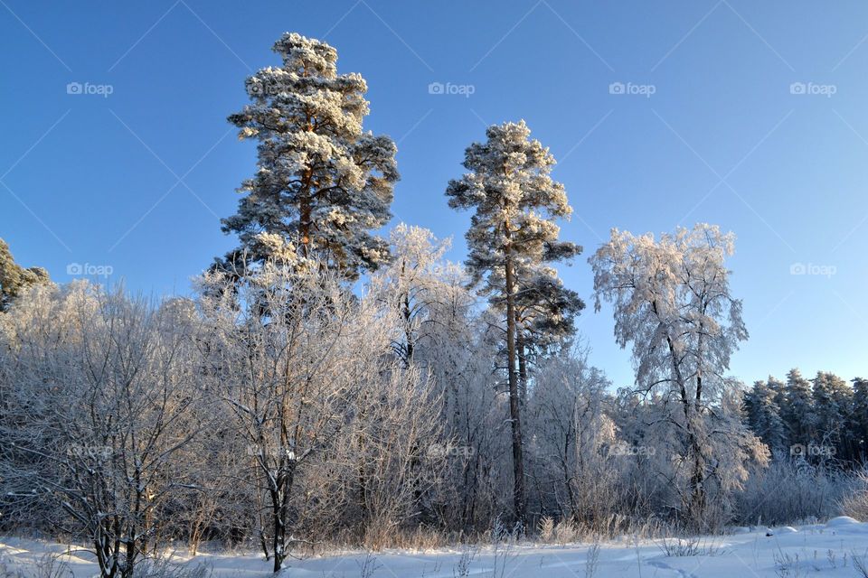 Beautiful nature around you