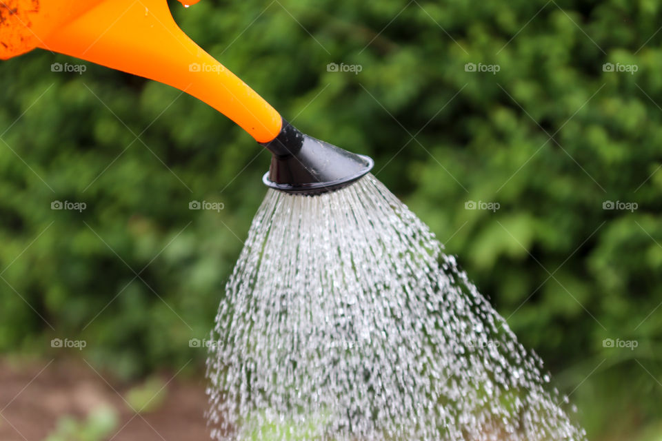Watering plants 